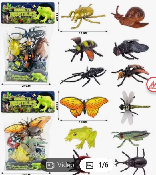 Insectos variados 