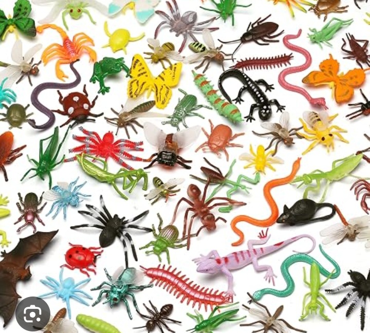 Animales insectos 